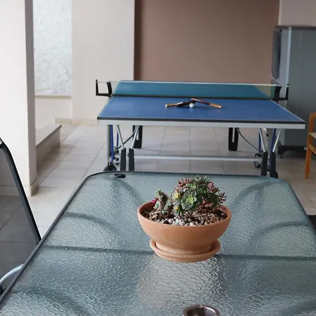 Lovely With Beautiful Garden