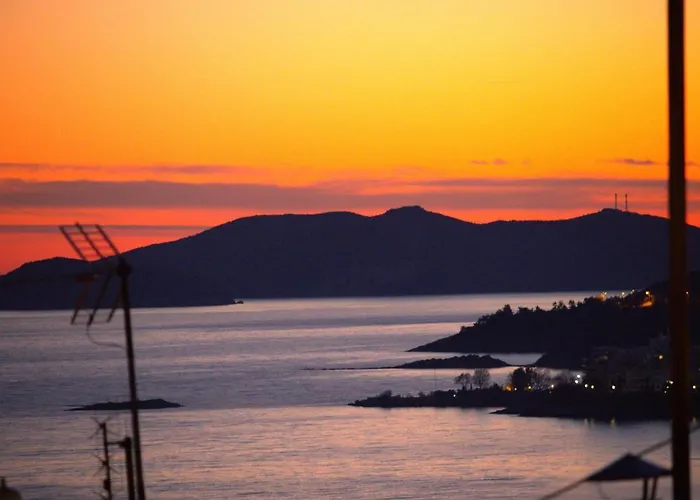 Lovely With Beautiful Garden *